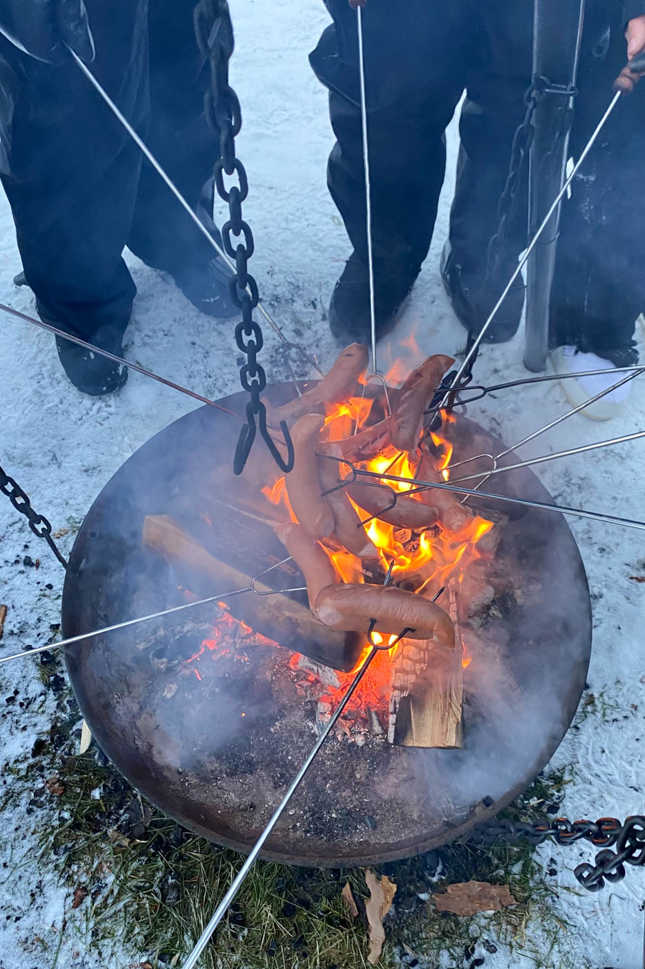 Barbecue et grillade de saucisse de rennes