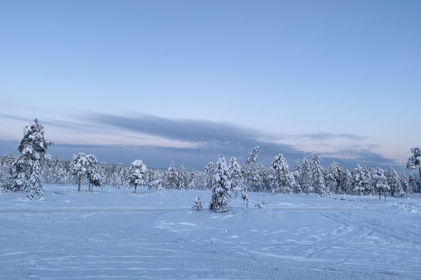 Nature de Rovaniemi