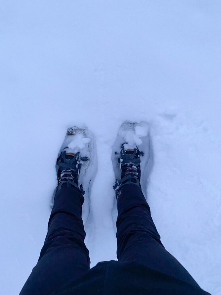 Balade en raquette de neige à Rovaniemi