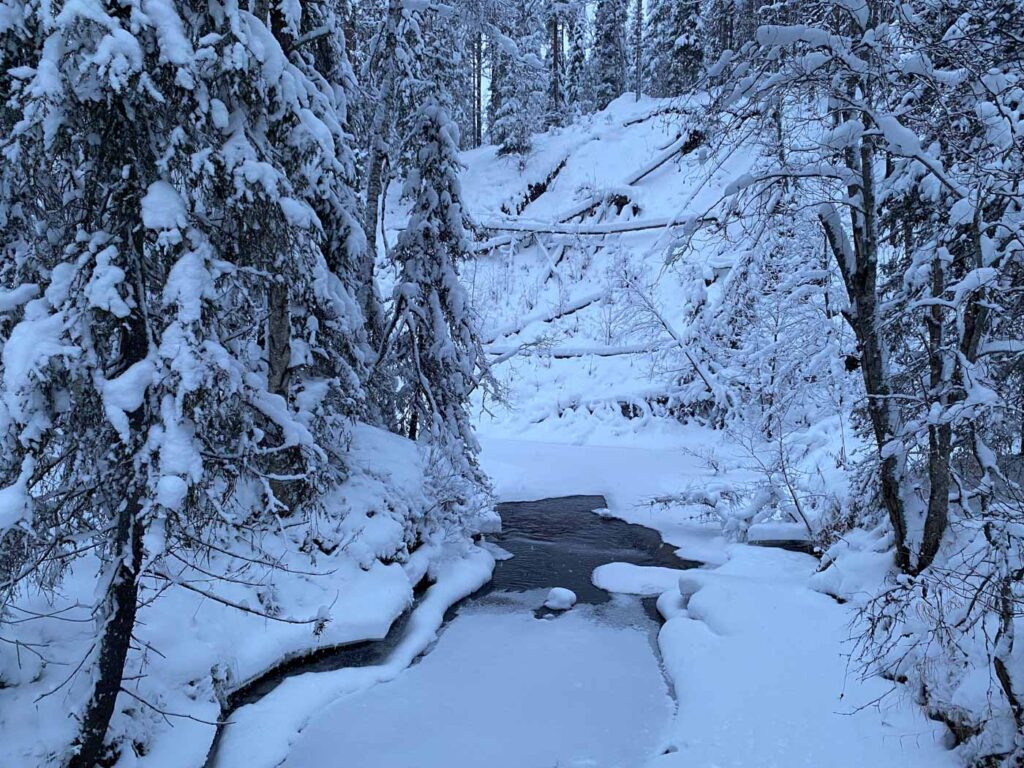 Rivière gelée dans la réserve naturelle de Korouoma à Rovaniemi